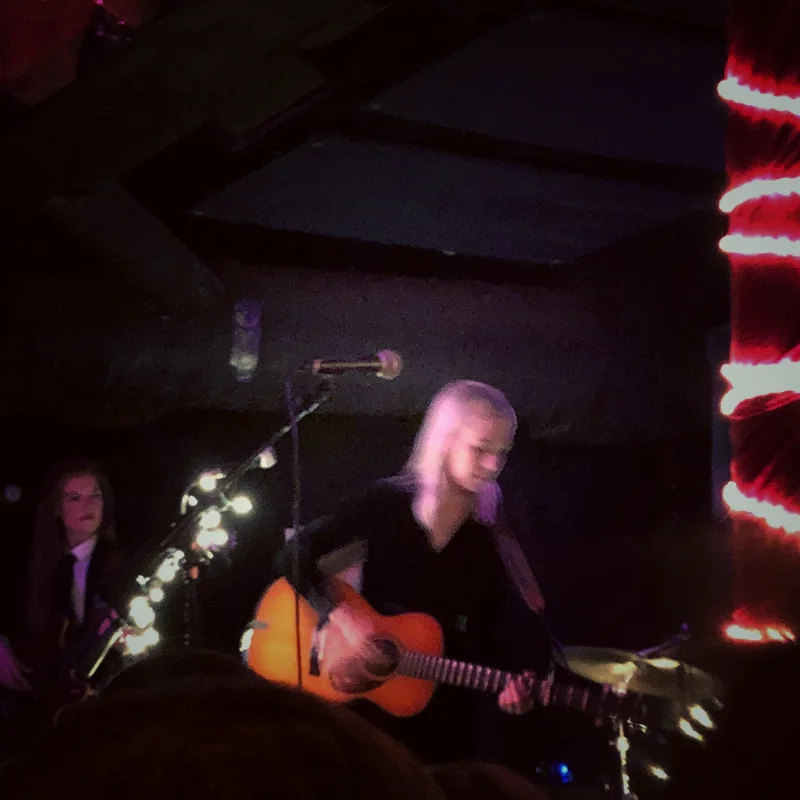 Phoebe Bridgers, Lomelda, Harrison Whitford at Bottom of the Hill